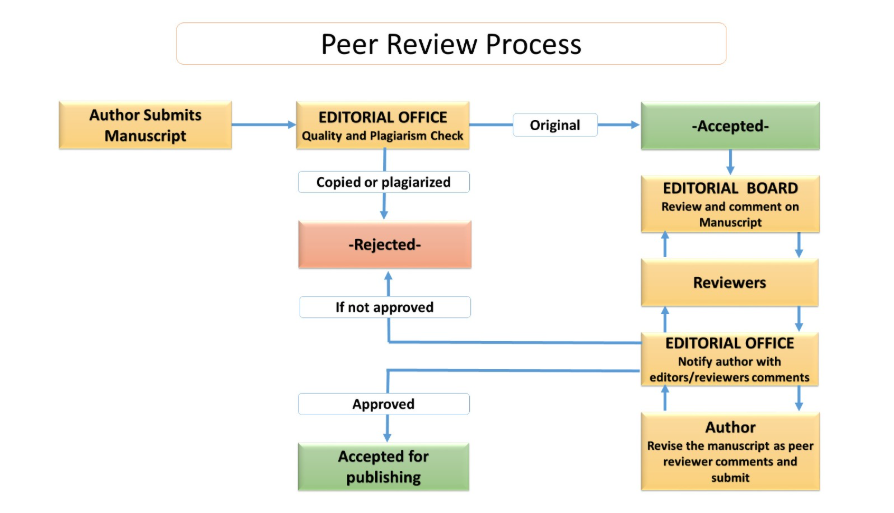 PeerReviewProcess